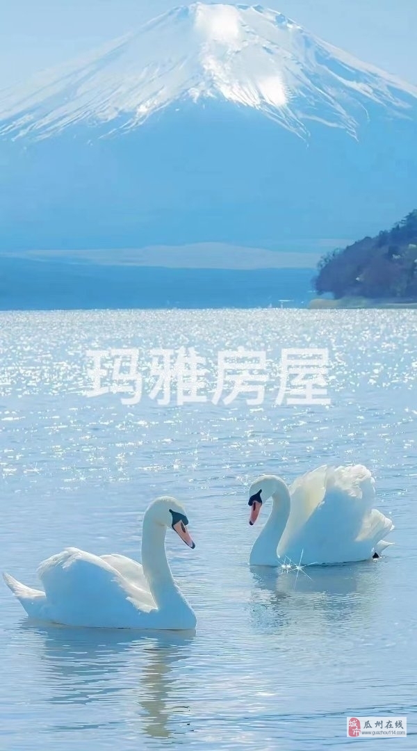 盛和御园2室 2厅 1卫 盛和御园2室 2厅 1卫
